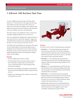 7 3/8-inch 10K Surface Test Tree
