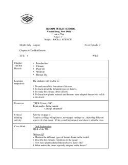 Social Science - Bloom Public School