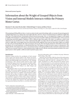 Information about the Weight of Grasped Objects