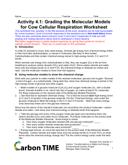 Activity 4.1: Grading the Molecular Models for Cow Cellular