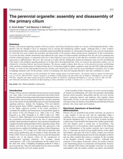 The perennial organelle - Journal of Cell Science
