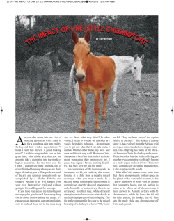 March 2013 - Western Mule Magazine