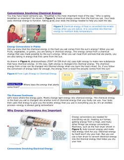 Conversions Involving Chemical Energy Why Energy Conversions