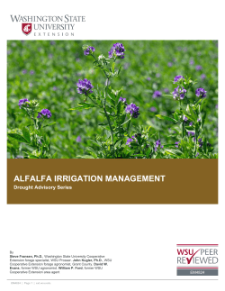 PDF - WSU Extension - Washington State University