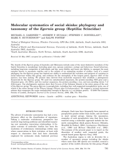 phylogeny and taxonomy of the Egernia group (Reptilia: Scincidae)
