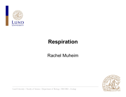 Respiration - Jessica Abbott