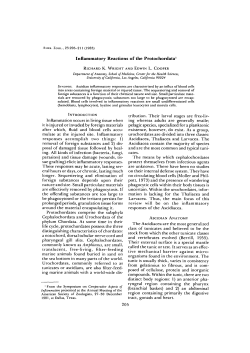Inflammatory Reactions of the Protochordata1