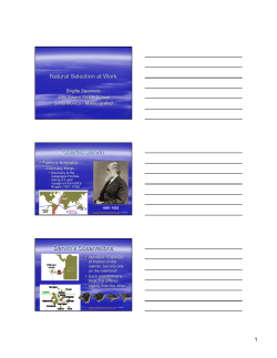 Natural Selection at Work Charles Darwin Darwin`s Observations
