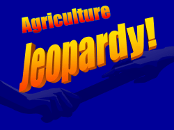 Blank Jeopardy