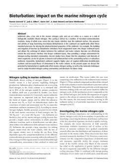 Bioturbation: impact on the marine nitrogen cycle