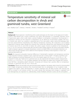 Temperature sensitivity of mineral soil carbon decomposition in