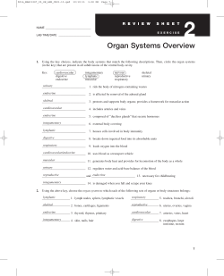 Organ Systems Overview
