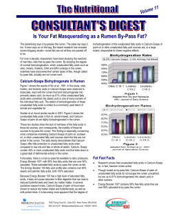 Is Your Fat Masquerading as a Rumen By