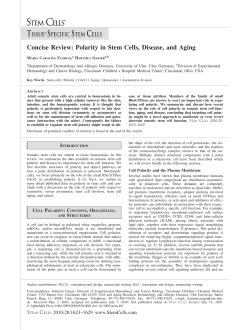 Concise Review: Polarity in Stem Cells, Disease, and Aging