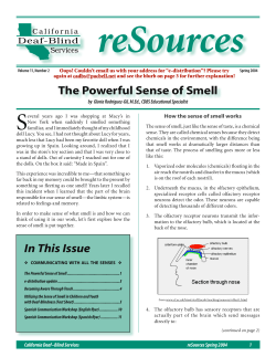 English PDF - San Francisco State University