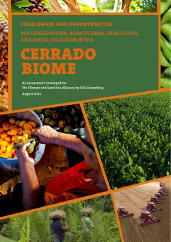 cerrado biome - Climate and Land Use Alliance