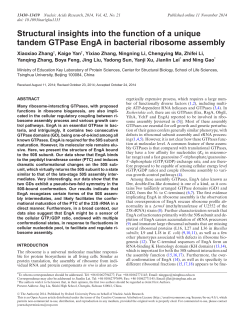 Structural insights into the function of a unique tandem GTPase