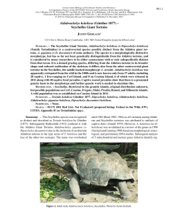 Aldabrachelys hololissa (G&uuml;nther 1877) &ndash; Seychelles Giant Tortoise