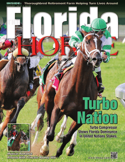 Prison to Paddock: A Winning Combination