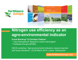 N use efficiency