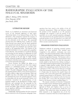 Radiographic Evaluation of the Hallucal
