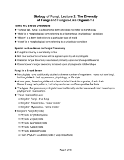 Biology of Fungi, Lecture 2: The Diversity of Fungi and