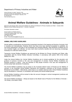 Animal Welfare Guidelines - Animals in Saleyards