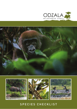 species checklist - Wilderness Safaris