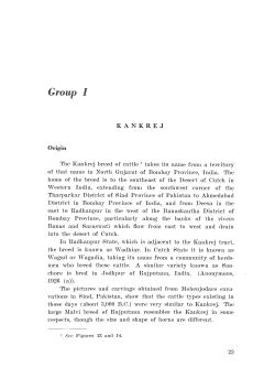 Zebu cattle of India and Pakistan