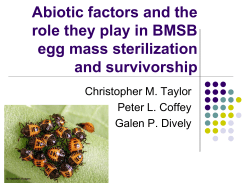 Abiotic factors and the role they play in BMSB egg mass sterilization