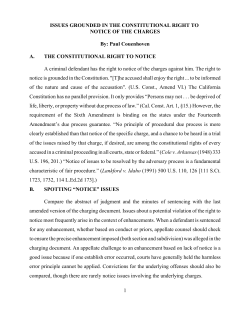 1 ISSUES GROUNDED IN THE CONSTITUTIONAL RIGHT TO