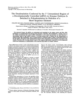 a Developmentally Controlled mRNA in Xenopus Embryos Is