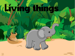Living things