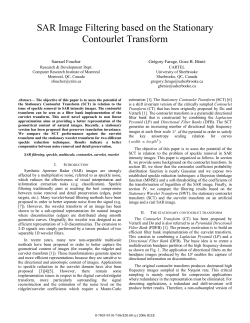 SAR Image Filtering Based on the Stationary Contourlet Transform