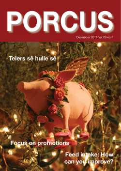 porcus-des-2011-1