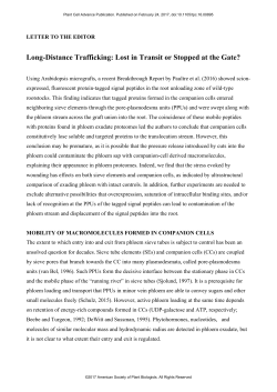 Long-Distance Trafficking: Lost in Transit or Stopped