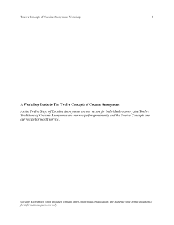 FREE 12 Concepts Workbook - How It Works Group of Cocaine