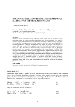 biological release of phosphates from sewage sludge after chemical