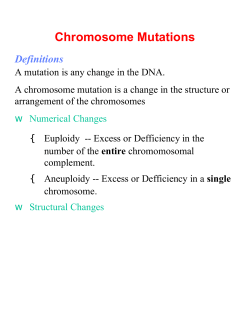 Chromosome Mutations