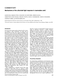Mechanisms of the ultraviolet light response in mammalian cells