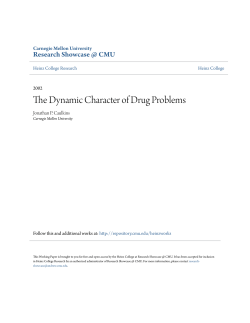 The Dynamic Character of Drug Problems