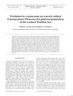 Full text in pdf format