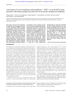 Association of a novel regulatory polymorphism (938CA) in the