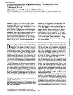 Compartmentalization within the Nucleus: Discovery of a Novel