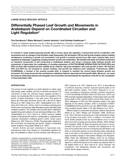 Differentially Phased Leaf Growth and Movements