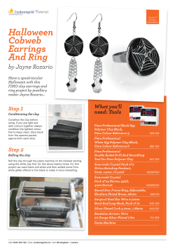 Halloween Cobweb Earrings And Ring