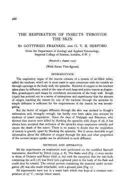 THE RESPIRATION OF INSECTS THROUGH THE SKIN