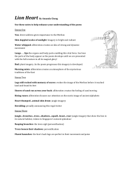 Lion Heart By Amanda Chong Use these notes to help enhance
