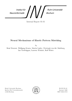 Neural Mechanisms of Elastic Pattern Matching