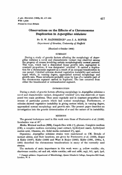 Observations on the Effects of a Chromosome Duplication in